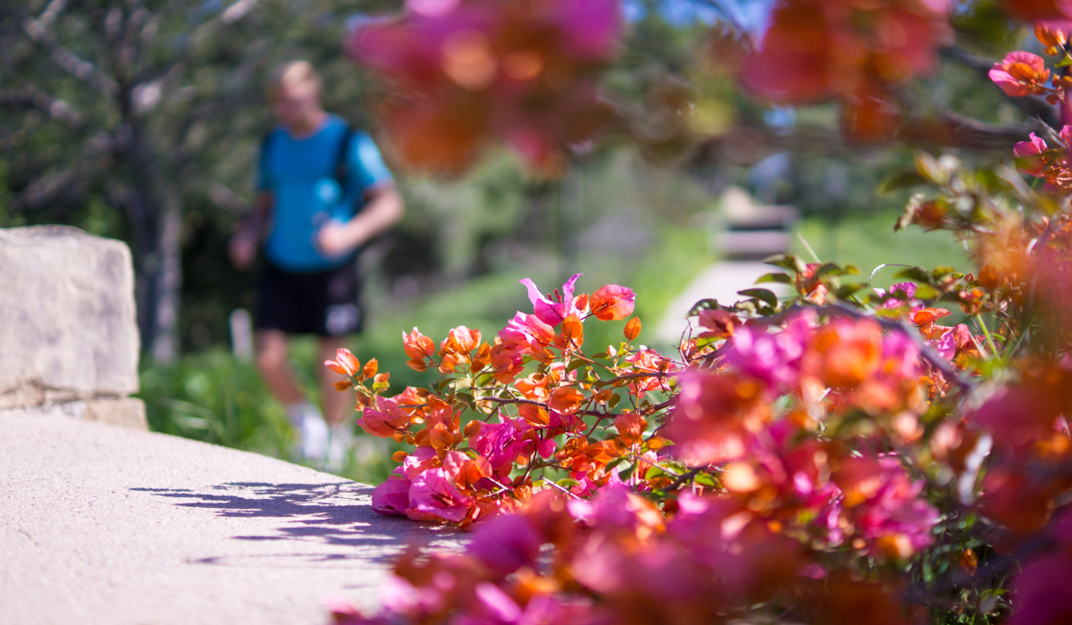 Campus flowers